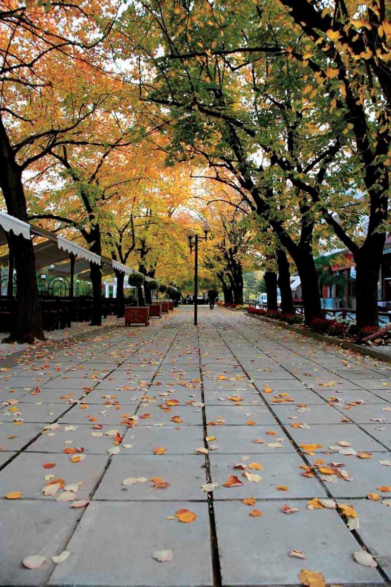 Εσπερίδες Naousa (Imathia) ภายนอก รูปภาพ